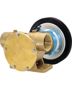 Johnson Pump F8B-50017 1-1/2 Clutch Pump JPI 1013022983