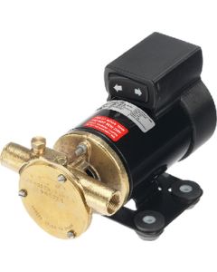 Johnson Pumps Pump  Oil Change  F3B-19  12V Jpi 102476003