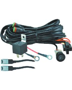 HELLA WIRE HARNESS-TWO LIGHT 300W