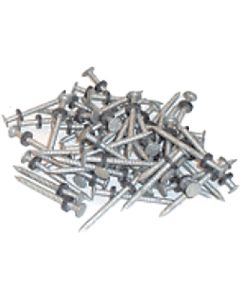 Taylor Galv #6 Nail W/Wshr 1/8# 12/Cd TAY 96028