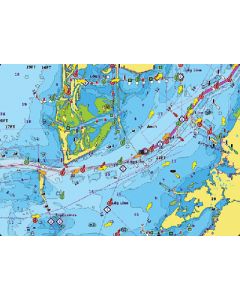GARMIN GARMIN NAVIONICS PLUS 010-C1290-20