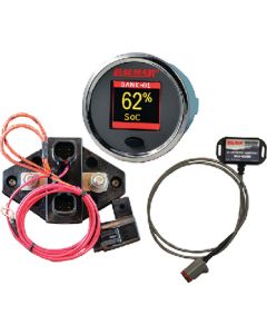 BALMER BATT MON KIT 12-48V WGATEWAY SG210