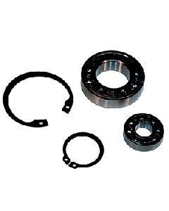 Maxwell Bearing Kit 300-3500 P90007