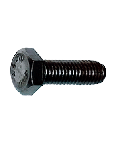 Maxwell Screw Set HEX HD M8 x 25 - Stain SP0288