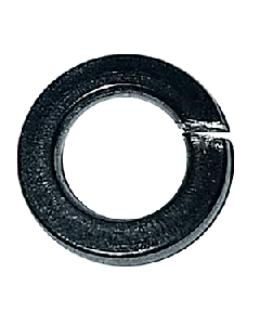 Maxwell Washer Spring - 6mm - 304 Stainl SP0474