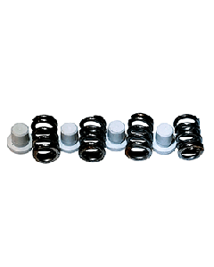 Maxwell Plunger/Spring Kit - 2200-4500 P101550