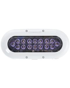 Ocean Led Led X16 Xtreme Colours OCE 012311C