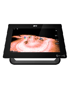 RAYMARINE AXIOM+ 9 RV 9" COMBO WITH RV-100 T/M E70637-03