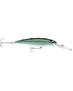RAPALA X-RAP MAGNUM 20 YELLOWFIN TUNA XRMAG20YFT