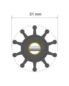ALBIN PUMP PREMIUM IMPELLER KIT 06-01-01