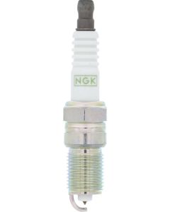 NGK TR5GP SPK PLUGS 4BX 3186