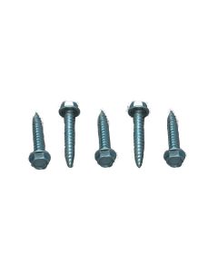 AP PRODUCTS 50PK 1' SCREWS TR5081
