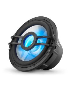 CLARION 10-INCH  2-OHM MARINE SUBWOOFER