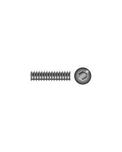SEACHOICE 1/4-28X3/16 SKT SET SCR SS 100