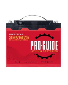 PRO-GUIDE ALPHA 36V 75AH GROUP 31 TALL L