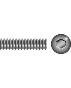 Seachoice Products 10-32X1/4 Skt Set Scr Ss 100/B Scp 01113