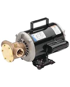Jabsco Utility Pump 115/230 Volt JAB 60500003